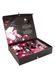 Подарунковий набір Shunga NAUGHTY Cosmetic Kit: змазка та стимулювальні засоби для нього та для неї - 2