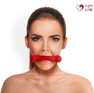 Кляп-палиця на ременях Art of Sex &ndash; Gag Stick Silicon, червоний, натуральна шкіра
