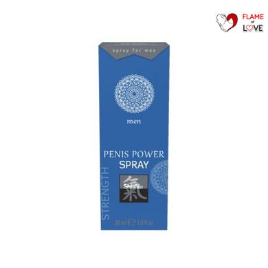 Спрей стимулюючий для чоловіків SHIATSU Power Spray, 30 мл