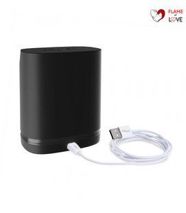 Кейс/зарядна станція та кабель для заряджання We-Vibe Chorus &mdash; Charging Base w/USB Cable