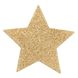 Пестіс - стикини Bijoux Indiscrets - Flash Star Gold, наклейки на соски - 2