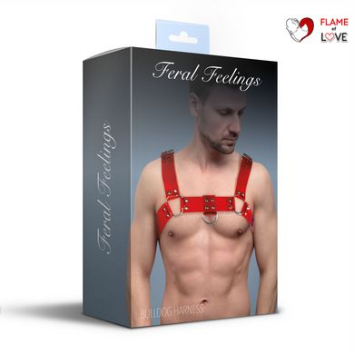 Чоловіча портупея на груди Feral Feelings - Bulldog Harness Red Trasparent
