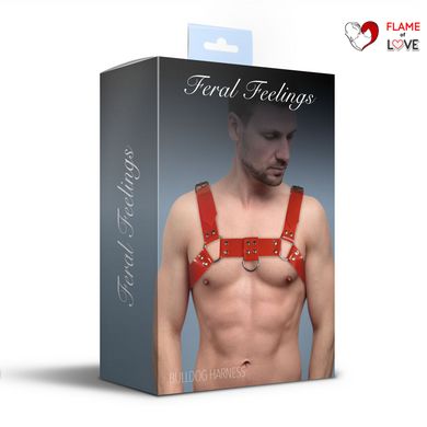 Чоловіча портупея на груди Feral Feelings - Bulldog Harness Red