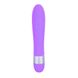 Ch86121 вібратор Precious Passion Vibrator-Purple Chisa - 1