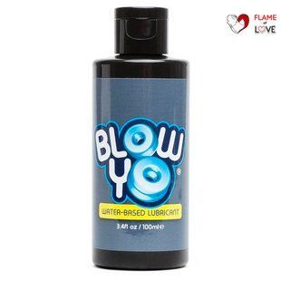 Лубрикант для мастурбаторів BlowYo