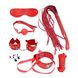 Набір MAI BDSM STARTER KIT Nº75: батіг, кляп, наручники, маска, нашийник з повідцем, мотузка, затиск - 1