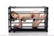 Міцна розбірна клітка для покарань Kennel Adjustable Bondage Cage - 3