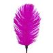 Лоскітка зі страусиним пером Art of Sex - Feather Tickler, колір Темно-рожевий - 3