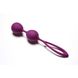 Вагінальні кульки зі зміщеним центром ваги Lyra Vega Le Frivole, Фіолетовий - 2