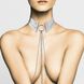 Украшение Bijoux Indiscrets Desir Metallique Collar - Silver - 2